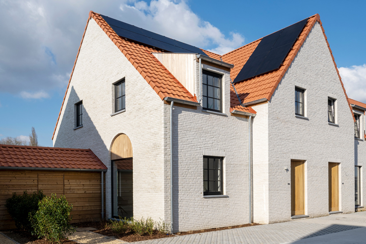 Koka logi un durvis project 6